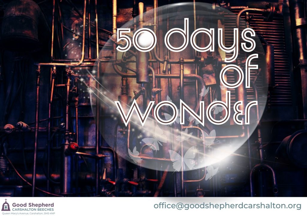 50 days of Wonder